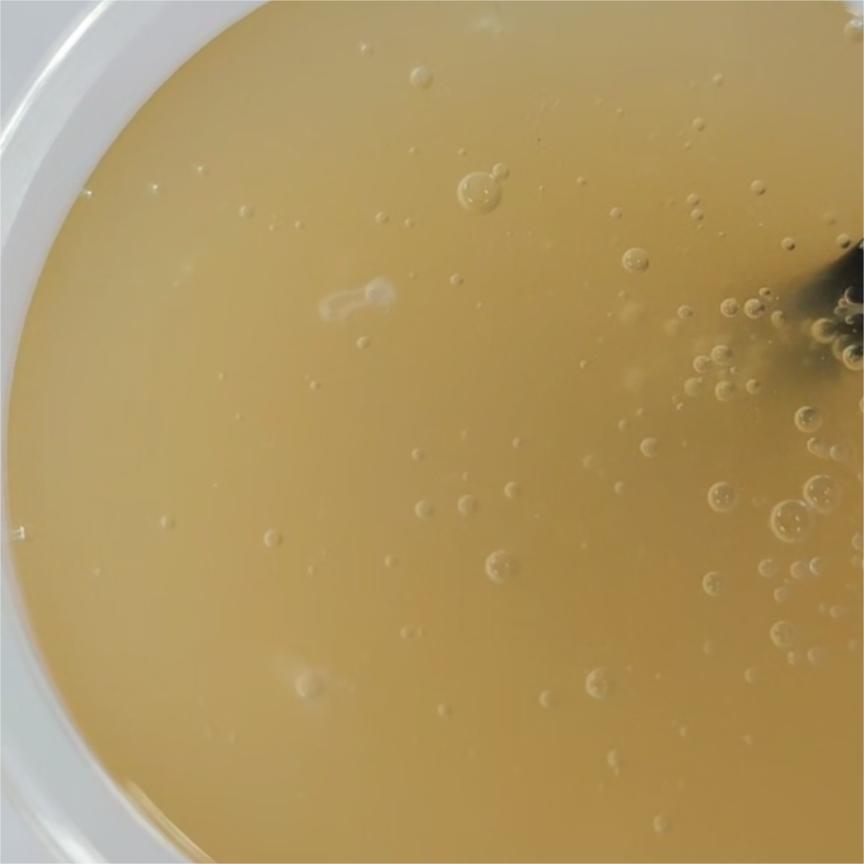 淀粉膠